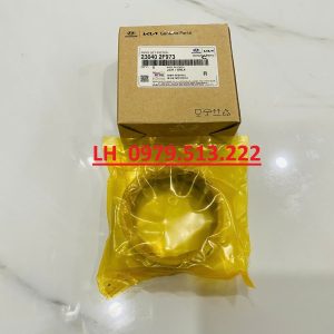 mua xéc măng kia sedona chính hãng