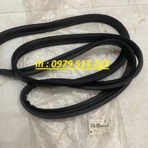 gioăng cửa hậu hyundai avante