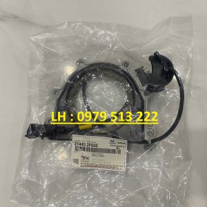 phớt đuôi cơ kia sedona